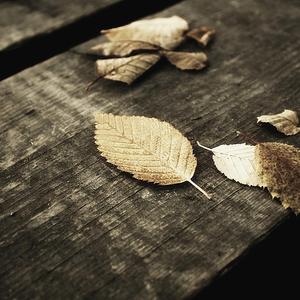 三级片在线大全
